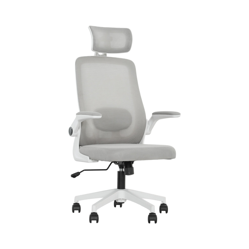 Comfortable Grey Multi-Adjust Office Chair with Adjustable Height Tilt & Lumbar Support for Ergonomic Posture - HOMCOM-image-OPC-PMZ66JC-NEW