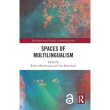 Spaces of Multilingualism Paperback Book
