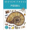 Fossil by Dr Paul David Taylor Hardcover Book 1