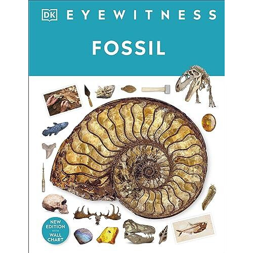 Fossil by Dr Paul David Taylor Hardcover Book
