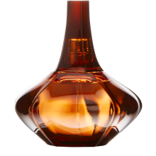 Calvin Klein Secret Obsession-100 ml