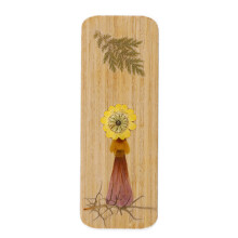 Wood Bookmarks Book Page Marker Dried Flower Bookmarks-5