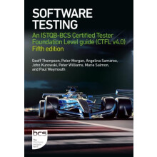 Software Testing by Marie Salmon Paperback Book