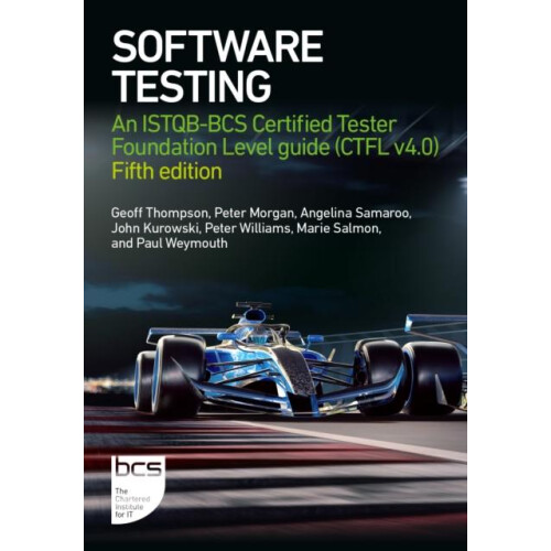 Software Testing by Marie Salmon Paperback Book