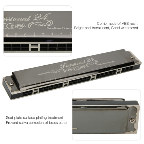 Professional 24-Hole Diatonic Harmonica D Key Black/Gold, Brass Base 2