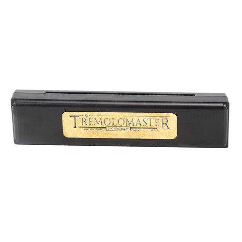 Professional 24-Hole C Key Harmonica Black Finish Airtight Design 2