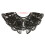 False Collar Lace Collar Wrap Dickey Collar-black buckle 2