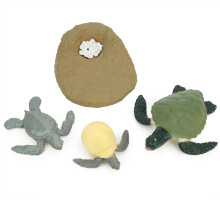 Animal Life Cycle Model Toy PVC Tortoise & Chick Learning Educational