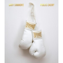 Gary Simmons Public Enemy Hardcover Book