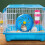 3Pcs Garrafas Domésticas Resistentes Para Chinchila E Hamster 7