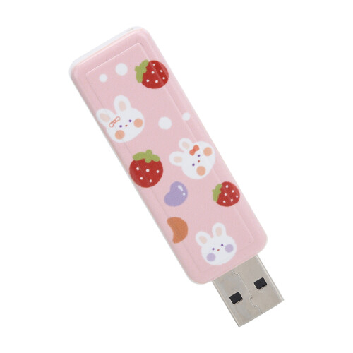 32GB Erdbeer-Hase USB 2.0 Speicherstick Plug & Play 2