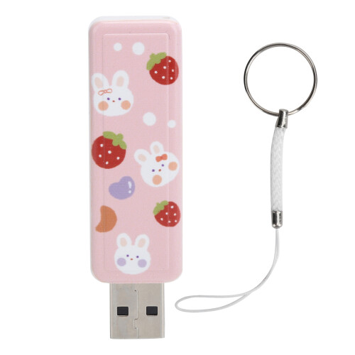 32GB Erdbeer-Hase USB 2.0 Speicherstick Plug & Play 1