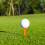 10 Unidades Plástico Golf Tees 83 Mm Para Simulador E 6