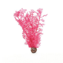 biOrb Sea Fan Medium, Pink