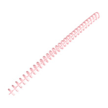 30 Rings PVC Binding Comb 30 Hole Binder-12mm macaron pink