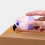 Ergonomic Package Cutter Roller Inkless Cover-Woodpecker blue 3