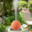 Strong 3 Point Base Bronze Plate Maintains Clean Bird-2 packs 7