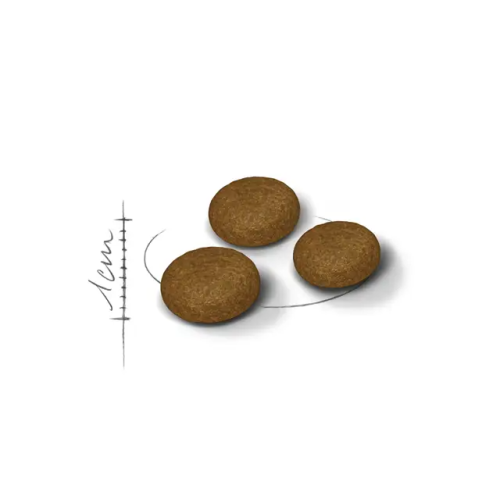 Royal Canin ROYAL CANIN FHN Chat Exigent Difficile 10kg 1