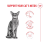 Royal Canin ROYAL CANIN FHN Chat Exigent Difficile 10kg 6