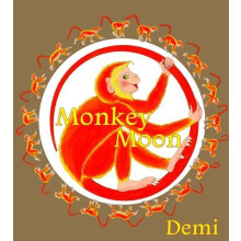 Monkey Moon by Demi Hardcover Book