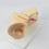 Anatomical Ear Structure Model Education Teaching Tool for Science Labs 7