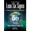 Lean Six Sigma by Vanzant Stern PhD Terra SSD Global Solutions Conifer 1
