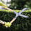Garden Hedge Shears, for Trimming Bushes Borders and 4