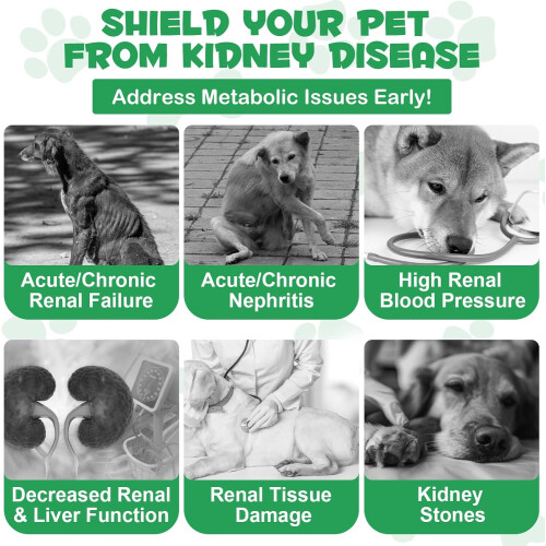 Kidney Support for Dogs, 60ML Liquid Drops 1