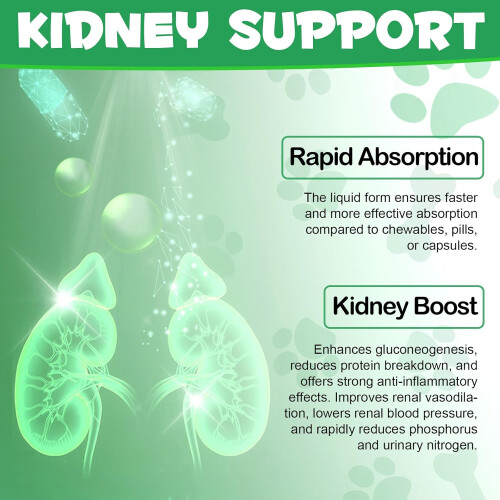 Kidney Support for Dogs, 60ML Liquid Drops 2