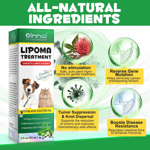 Lipoma Treatment for Dogs 1