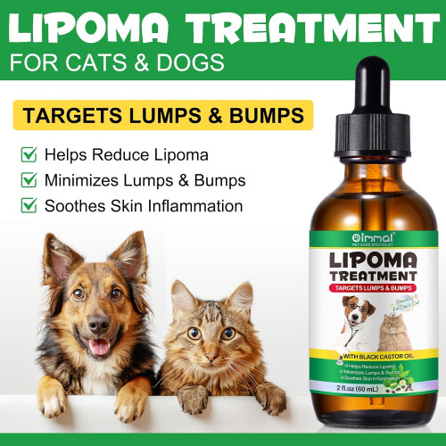 Lipoma Treatment for Dogs 2