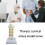 Interactive Spine Model Showing Occipital Bone and Intervertebral Display 2