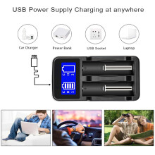 Schwarzes tragbares PC-USB-LCD-Batterieladegerät für AA, AAA Ni-MH, Ni-Cd & 18650, 18490
