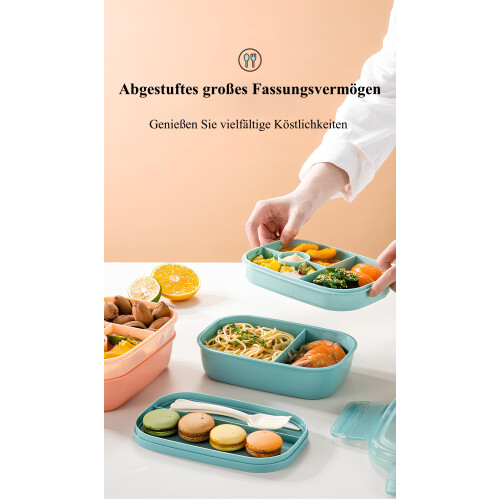 Δοχείο φαγητού ενηλίκων Bento Box, μοντέρνα μινιμαλιστικά δοχεία φαγητού Bento που 2