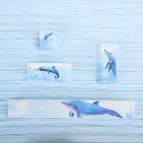 Dolphin Pattern 4Pcs PTB Keycaps for Mechanical Keyboard Space ESC Enter Numpad Enter 2