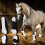 4PCS White PU Shell Horse Leg Guards for Jumping, Front & Back Sizes 13