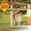 Solar-Powered 110 dB Alarm Light IP65 Motion Sensor Easy Install 9