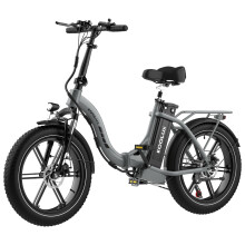 KOOLUX BK6S 20''Electric Bicycle,750W, 13AH, Gray