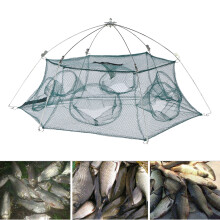 Portable 6-Corner Enclosed Fishing Net 80cm Green for Shrimp, Fish
