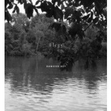 Dawoud Bey Elegy by Valerie Cassel Oliver Hardcover Book