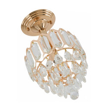 Elegant Crystal Pendant Light