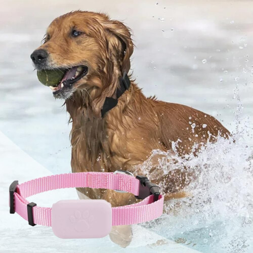 Pet with Adjustable Collar Smart Dog Tracker Cat Locator (Pink) 1
