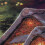 5PCS Rahmenlose Leinwand Landschaft Cottage Muster 14