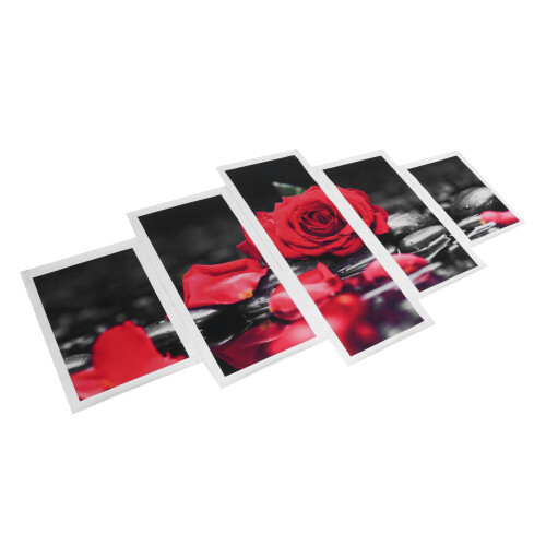 5-teiliges Wandbild-Set, romantische rote Rose, 2