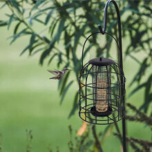 Metallischer Vogelfutterspender zum Aufhängen mit Eisenkäfigrahmen – Robuste Futtersäule