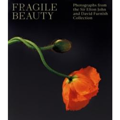 Fragile Beauty Hardcover Book