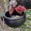 Chicken Water Dispenser Rubber Black Durable And Portable 2sets 11