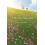 Now We Are Six by A. A. Milne Paperback Book 1