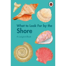 What to Look For by the Shore by Becky Brown Hardcover Book