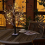 2ft LED Birch Tree Warm White Indoor Decor Light 6